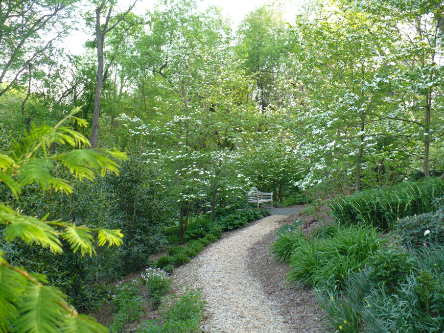 Image of path