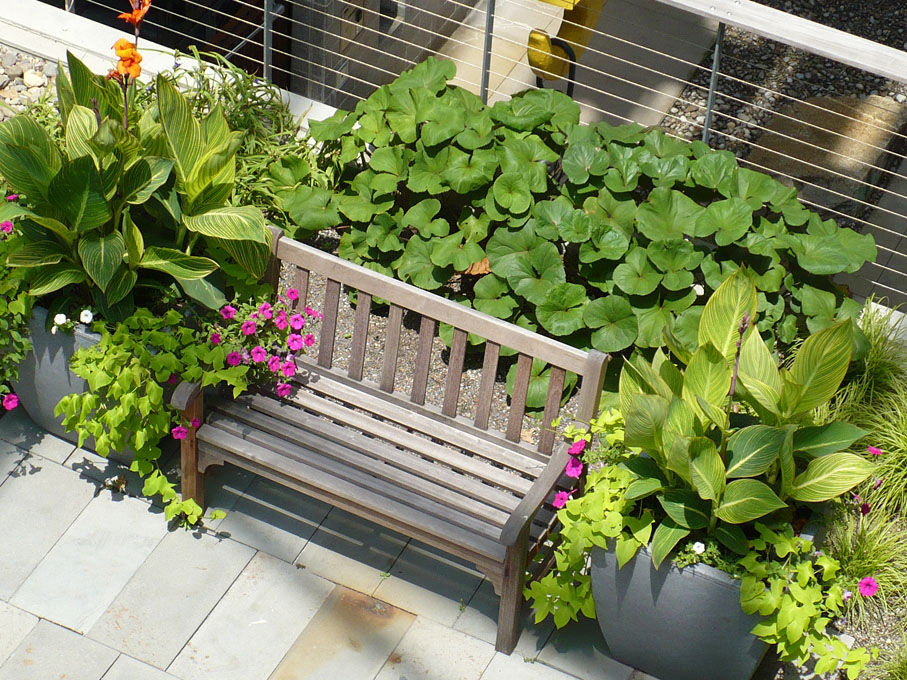 Image of garden